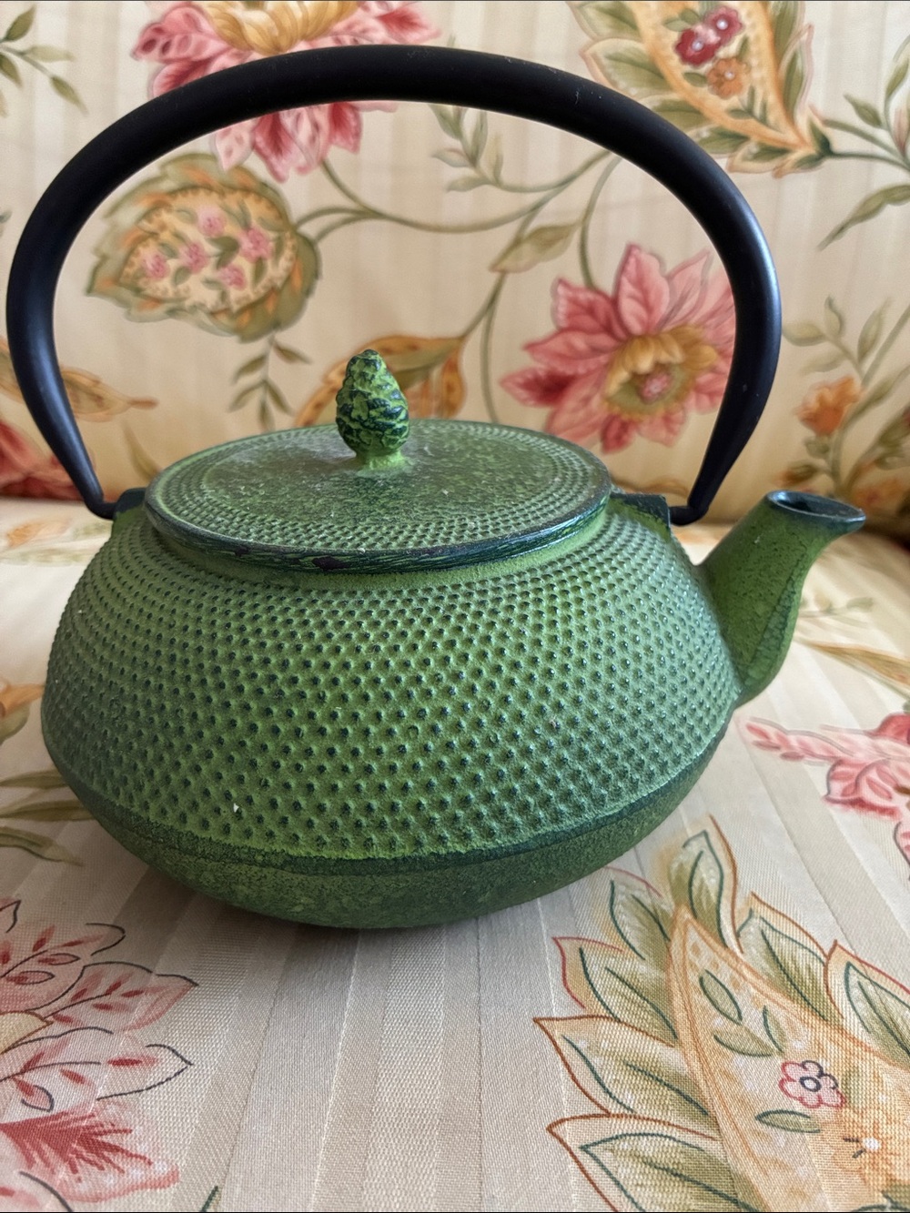Japanese Cast Iron Tea Pot With Basket NEW